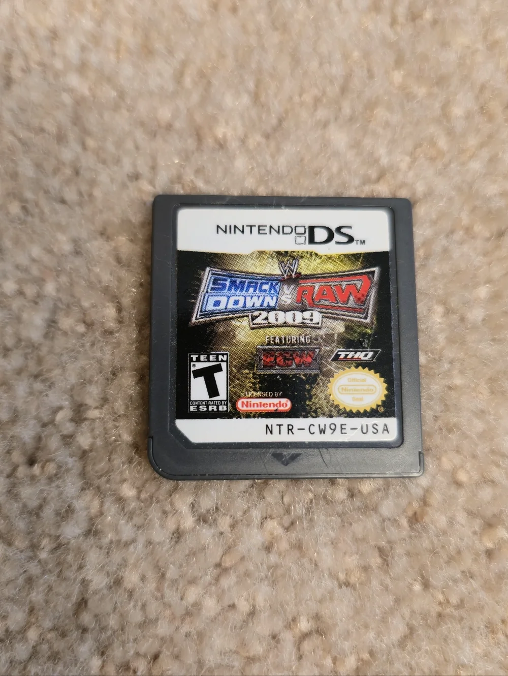 Nintendo DS game cartridge for WWE SmackDown vs. Raw 2009 Featuring ECW